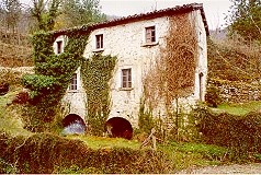 Lo storico mulino della famiglia Angelini in località Piedicava (Acquasanta Terme), ancora perfettamente funzionante (immagine tratta dal sito internet).