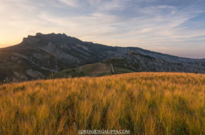 calanchi del piceno