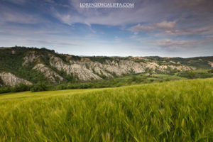 calanchi del piceno